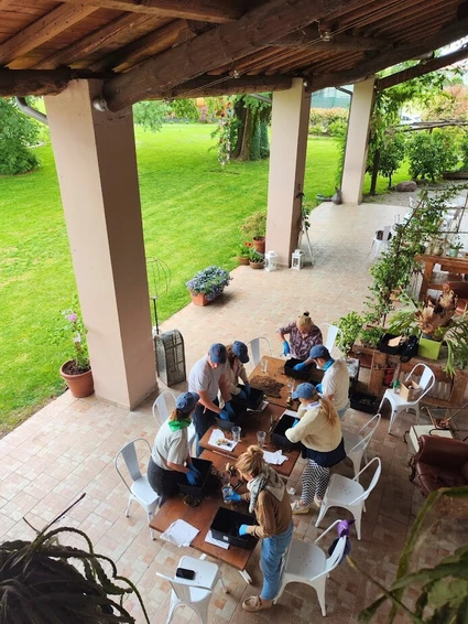 L’Arte Gentile del Verde: Workshop Botanici e Kokedama nelle campagne del Garda 2